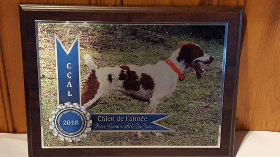 ccal20193.jpg