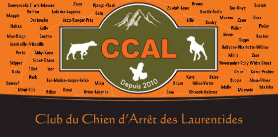 ccal2020c.jpg
