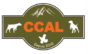 logoccal.jpg